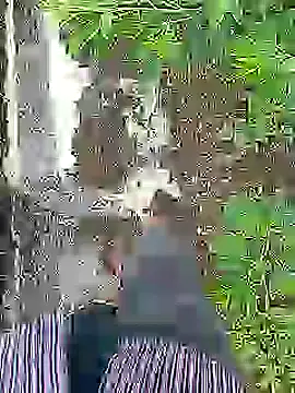 Cute Boy 4 online show from 07-16-26, 04:29