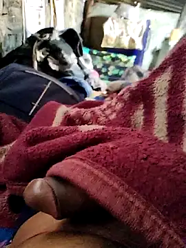 crazyxy12 online show from 02-07-26, 06:17