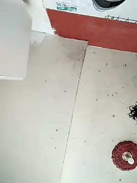 Snapshot of cynliu chatting on 04-14-26, 02:23 cynliu online show from 04-14-26, 02:23