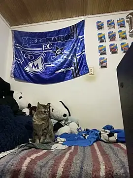 David Banks  online show from 04-29-26, 12:48