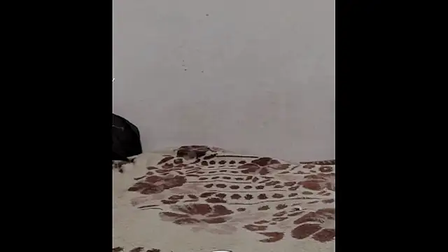 Snapshot of ammsexy1 chatting on 03-09-26, 04:33 ammsexy1 online show from 03-09-26, 04:33