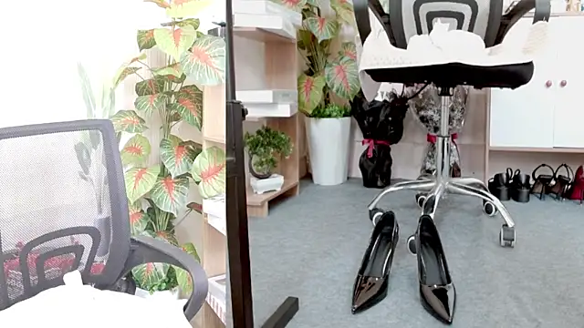 Zinna999 online show from 03-07-26, 06:32