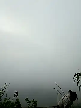 sushi-asa online show from 03-07-26, 12:51