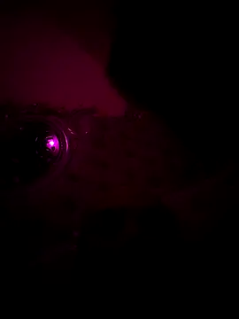 Snapshot of Raj_teluguboy chatting on 03-06-26, 07:43 Raj teluguboy online show from 03-06-26, 07:43