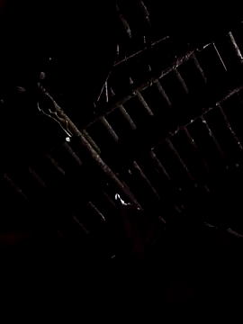 alex callmemaybe69 online show from 02-09-26, 09:30