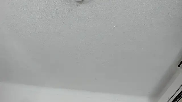 Snapshot of Nico_Hillx chatting on 02-13-26, 11:01 Nico Hillx online show from 02-13-26, 11:01