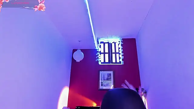 paula lopez   online show from 02-11-26, 07:41