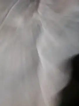 Snapshot of poke90201 chatting on 03-22-26, 12:58 poke90201 online show from 03-22-26, 12:58