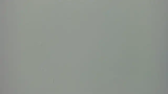 Raven love online show from 04-29-26, 06:25