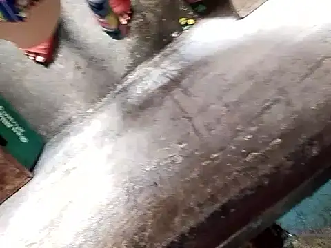 GeorginaLove09 online show from 04-25-26, 04:04