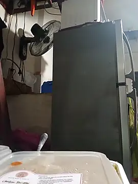 Wildcam21 online show from 02-24-26, 09:51