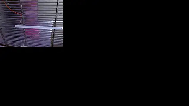 sophi and coby online show from 05-02-26, 05:12