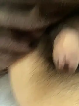 Snapshot of oyuto0831 chatting on 04-03-26, 07:17 oyuto0831 online show from 04-03-26, 07:17