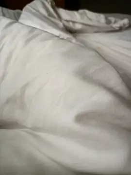 Snapshot of lucky9161 chatting on 02-17-26, 03:25 lucky9161 online show from 02-17-26, 03:25