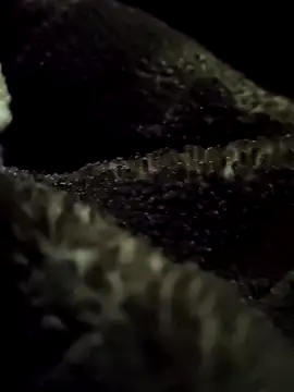 aryanvfit online show from 02-09-26, 06:01