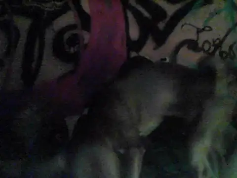 toropf online show from 03-15-26, 12:33