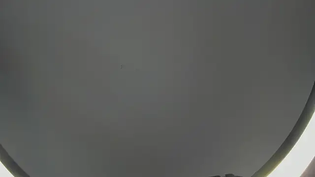 Snapshot of SinLickerr chatting on 02-18-26, 07:43 SinLickerr online show from 02-18-26, 07:43