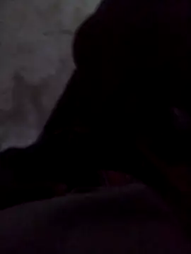 Snapshot of Pussypounder2ll chatting on 03-12-26, 05:52 Pussypounder2ll online show from 03-12-26, 05:52