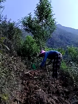 lovely-742 online show from 04-21-26, 08:42