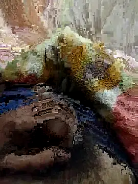 soni8850 online show from 02-15-26, 04:03