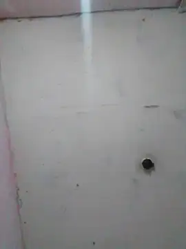 cobrosdepagos online show from 02-19-26, 01:56