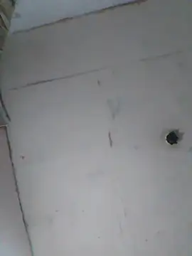 cobrosdepagos online show from 04-01-26, 01:50