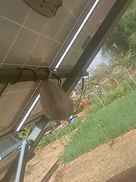 mastmalai online show from 03-17-26, 04:39