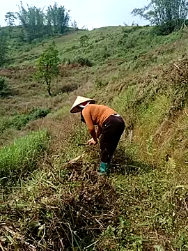 nelina 12345 online show from 04-25-26, 02:03