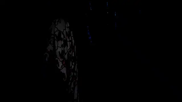 SassyXindian online show from 04-21-26, 05:17