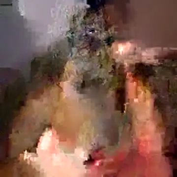 Snapshot of tubellaflor chatting on 03-01-26, 10:23 tubellaflor online show from 03-01-26, 10:23