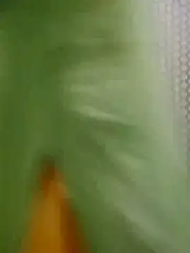 Jyoti hot online show from 03-07-26, 04:42