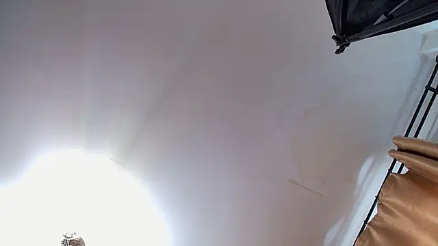 Snapshot of VioletVIP chatting on 03-12-26, 12:33 VioletVIP online show from 03-12-26, 12:33