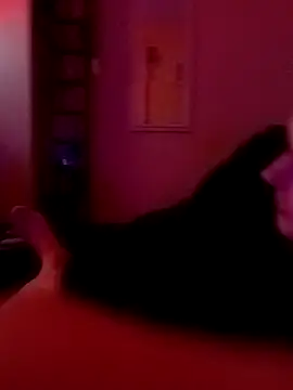 Snapshot of Filthyforall chatting on 02-23-26, 05:49 Filthyforall online show from 02-23-26, 05:49