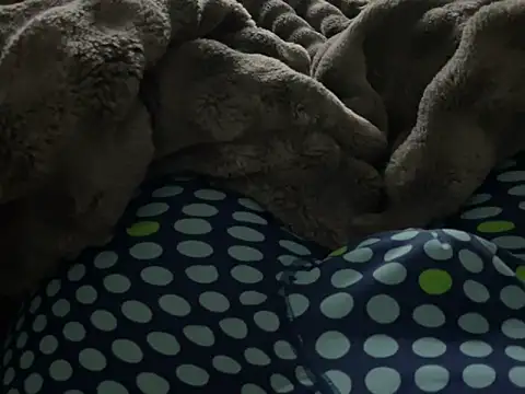 Snapshot of kakarot241515 chatting on 03-06-26, 02:08 kakarot241515 online show from 03-06-26, 02:08