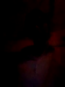 Snapshot of wifedesi7050 chatting on 03-05-26, 04:47 wifedesi7050 online show from 03-05-26, 04:47