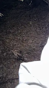 Snapshot of salfetka_sex chatting on 03-23-26, 05:17 salfetka sex online show from 03-23-26, 05:17