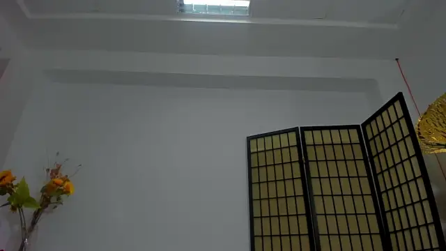 MiaNoirr online show from 04-05-26, 07:11