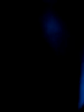 AppleMiel online show from 03-08-26, 03:10