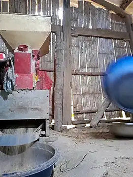 zanh99 online show from 04-28-26, 11:21