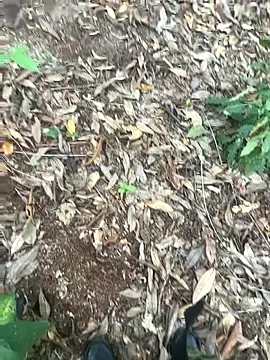 Snapshot of bibedro chatting on 02-28-26, 09:16 bibedro online show from 02-28-26, 09:16