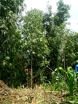 lyly sexx online show from 04-28-26, 03:22