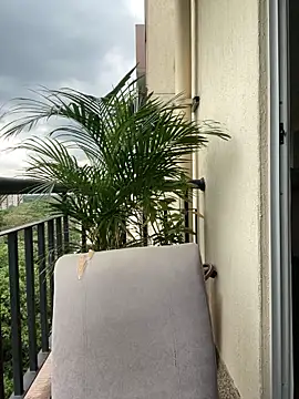 Pamela222- online show from 03-07-26, 05:32