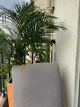 Pamela222- online show from 03-15-26, 07:42