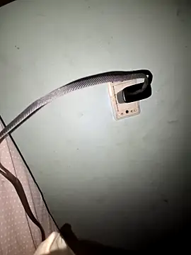 wolf297 online show from 02-28-26, 11:44