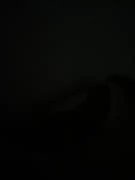 noorqwertz online show from 05-08-26, 04:56