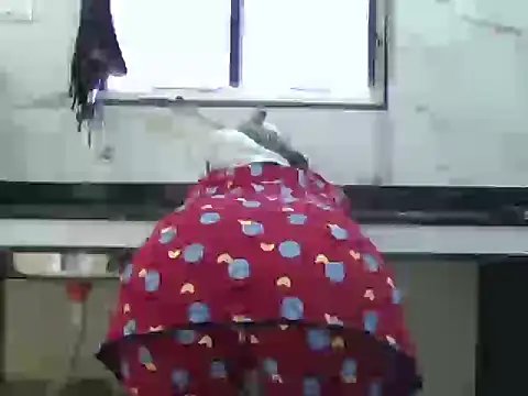 Miss Sanika online show from 03-05-26, 10:00