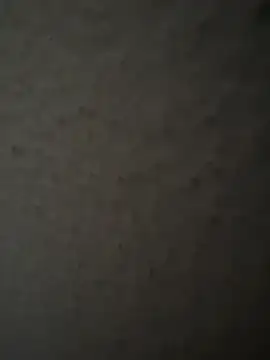 MIABCDZ online show from 05-12-26, 01:58