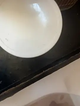 Snapshot of BumbleBee84 chatting on 07-08-26, 10:42 BumbleBee84 online show from 07-08-26, 10:42