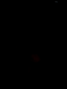 Snapshot of Frapapa chatting on 03-15-26, 06:58 Frapapa online show from 03-15-26, 06:58