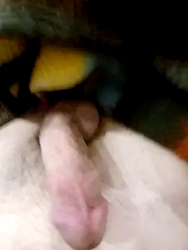 Snapshot of Adix_02six chatting on 03-10-26, 01:54 Adix 02six online show from 03-10-26, 01:54